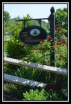 Garden in the Burrow