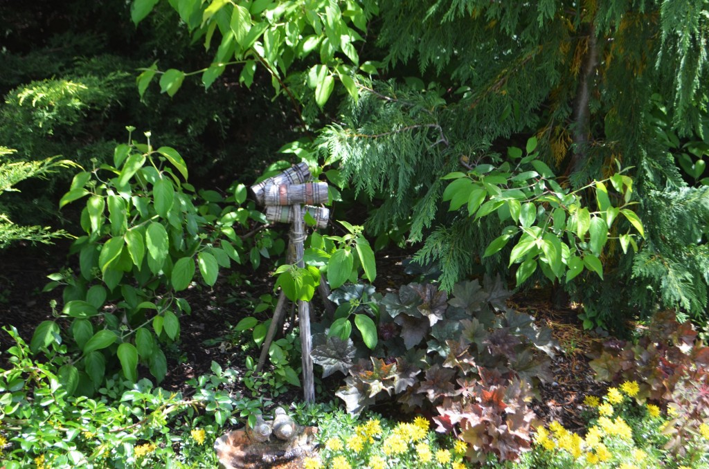 dogwood growing through EVERYTHING