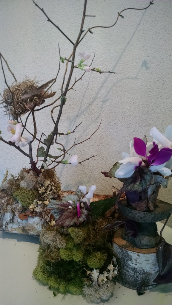 IMG_20150206_105033663