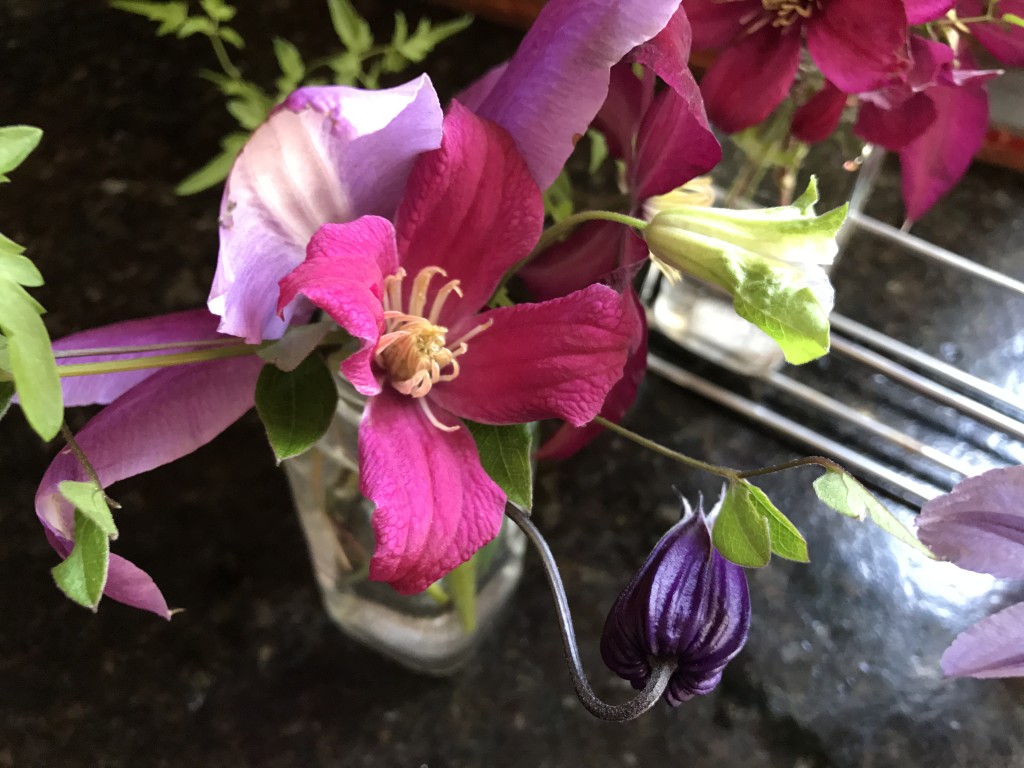 roguchi bud lower right